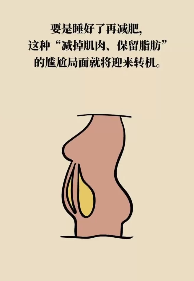 人体自带燃脂开关？这样睡，燃脂效率翻倍-第20张图片-