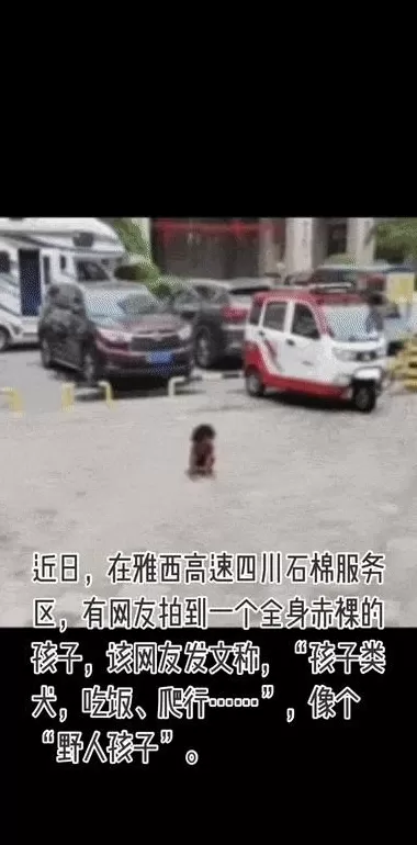 三岁小孩被养成野人，家长却说是教育自由？-第2张图片-