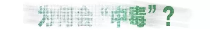信息时代的精神护肤：给大脑做SPA-第4张图片-