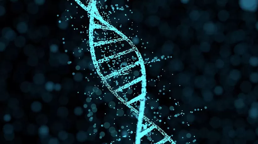 百奥赛图科创板注册生效，转型“千鼠万抗”后刚扭亏-第2张图片-