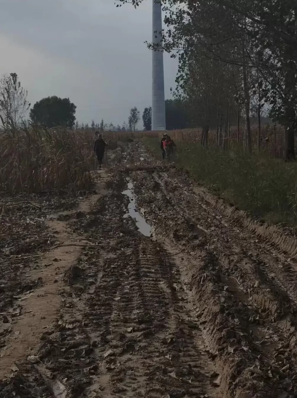 河南人苦，大旱中救活的玉米，现在都泡烂了-第11张图片-