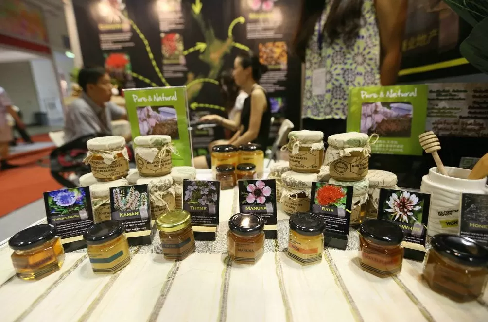 罗新｜一个从不远行的人，也可以见证参与极为复杂的全球旅行-第1张图片-