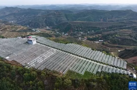 【高质量发展看陕西】“上天”的延安苹果，蕴藏哪些新质生产力-第2张图片-