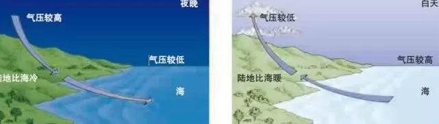 风好大，为什么一下子这么冷啊！-第3张图片-