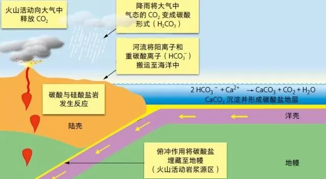 风好大，为什么一下子这么冷啊！-第5张图片-