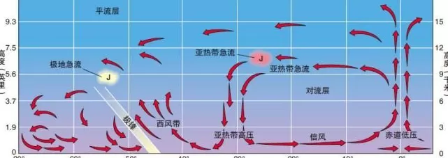 风好大，为什么一下子这么冷啊！-第8张图片-