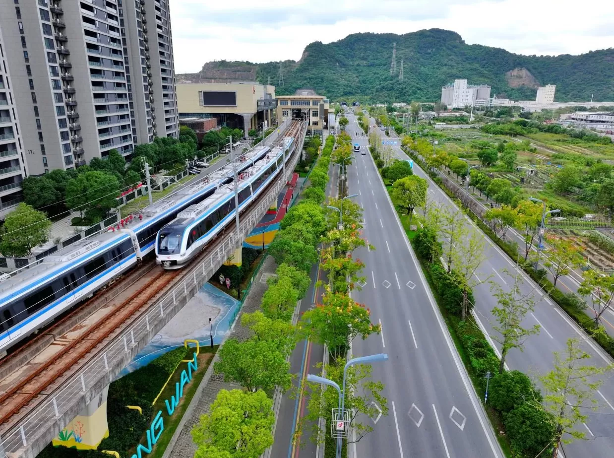 温州大道的“民生温度”：铺就龙湾宜居新图景-第6张图片-