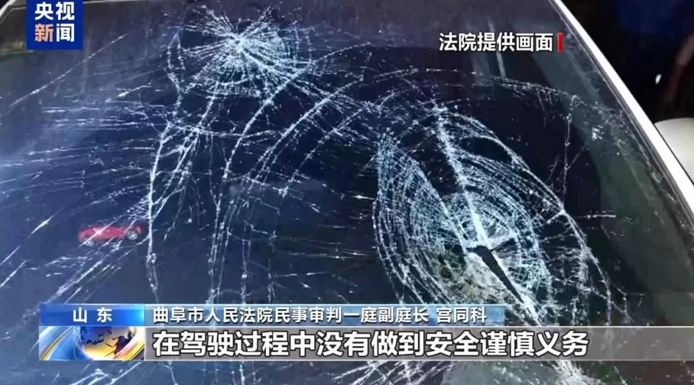 好心搭载反成被告法院：免费车不“免责”-第20张图片-