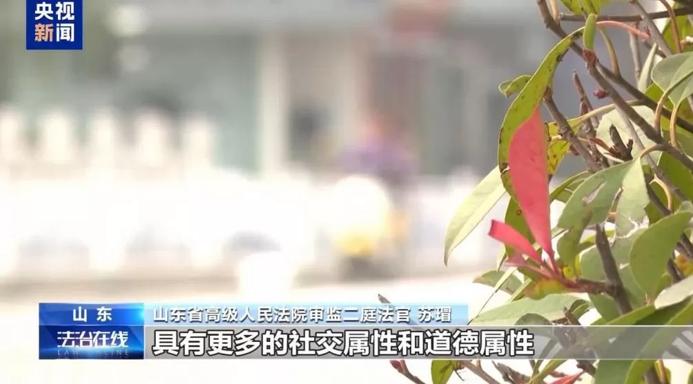 好心搭载反成被告法院：免费车不“免责”-第19张图片-