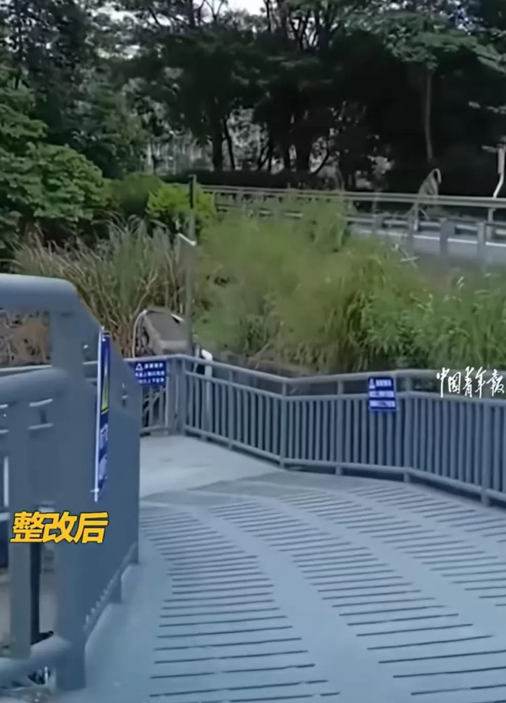 深圳“多管局局长”火了，官方回应-第4张图片-