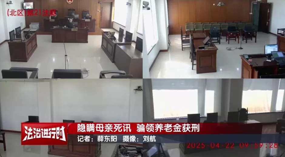 男子隐瞒母亲死讯两年多，伪造证明骗领养老金超16万用于个人消费，涉嫌诈骗罪被判3年-第3张图片-