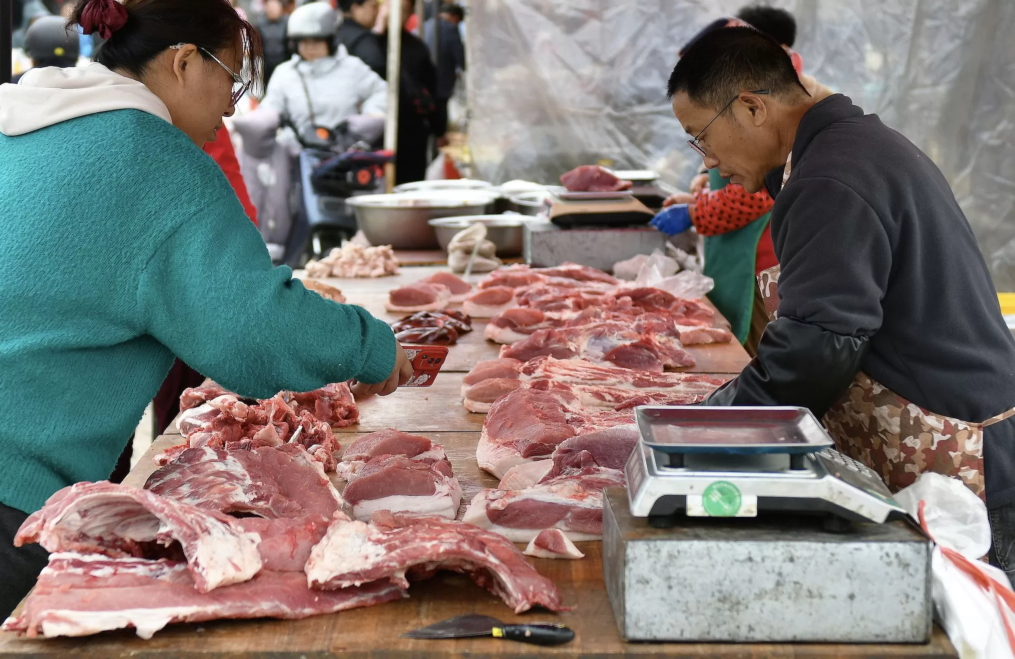 猪肉价格连降10周，分析师：短期内仍有下行空间-第1张图片-