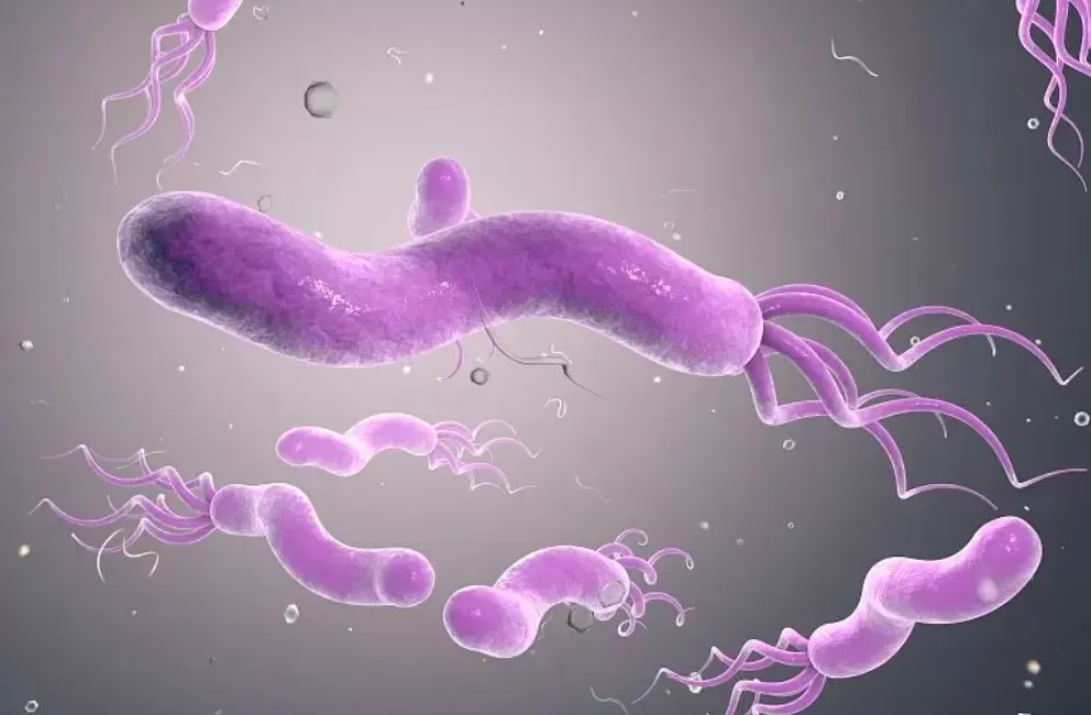 根除幽门螺杆菌有了中国方案，专家详解新疗法-第2张图片-