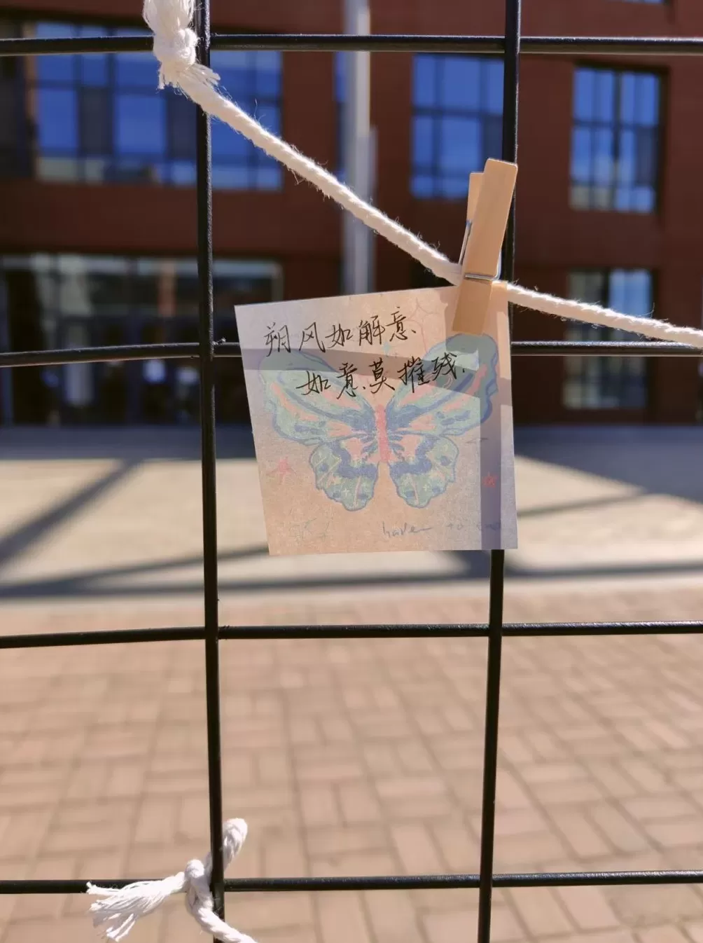 努力三年的本科生，撞上政策变化的保研季-第3张图片-