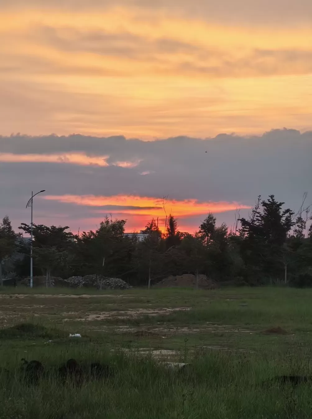 努力三年的本科生，撞上政策变化的保研季-第12张图片-