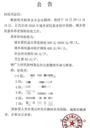 湖北孝感一乡镇每户要收50元“社会治安保险费”？当地回应-第1张图片-