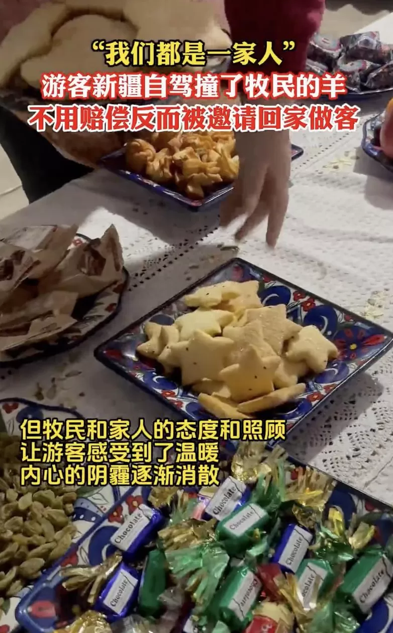 游客撞伤一只羊，牧民说：“跟我走！”结局太意外-第3张图片-