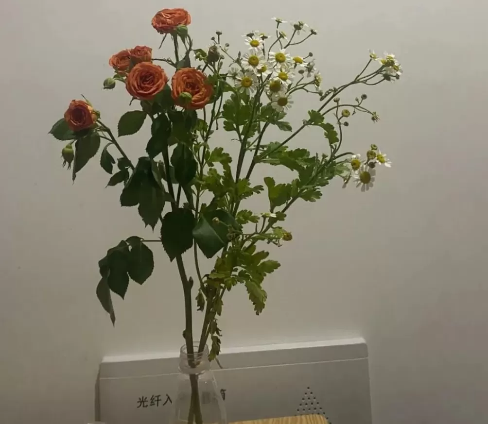 因为父母给自己买房，崩溃的年轻人-第4张图片-