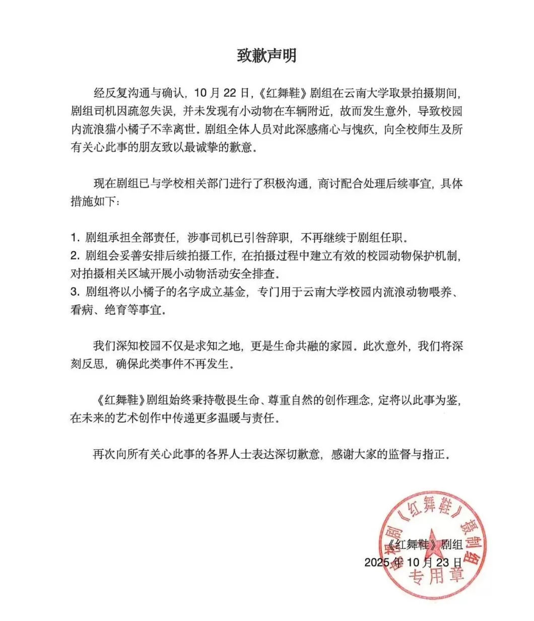 在云南大学拍摄期间撞死流浪猫，《红舞鞋》剧组致歉：涉事司机引咎辞职-第2张图片-