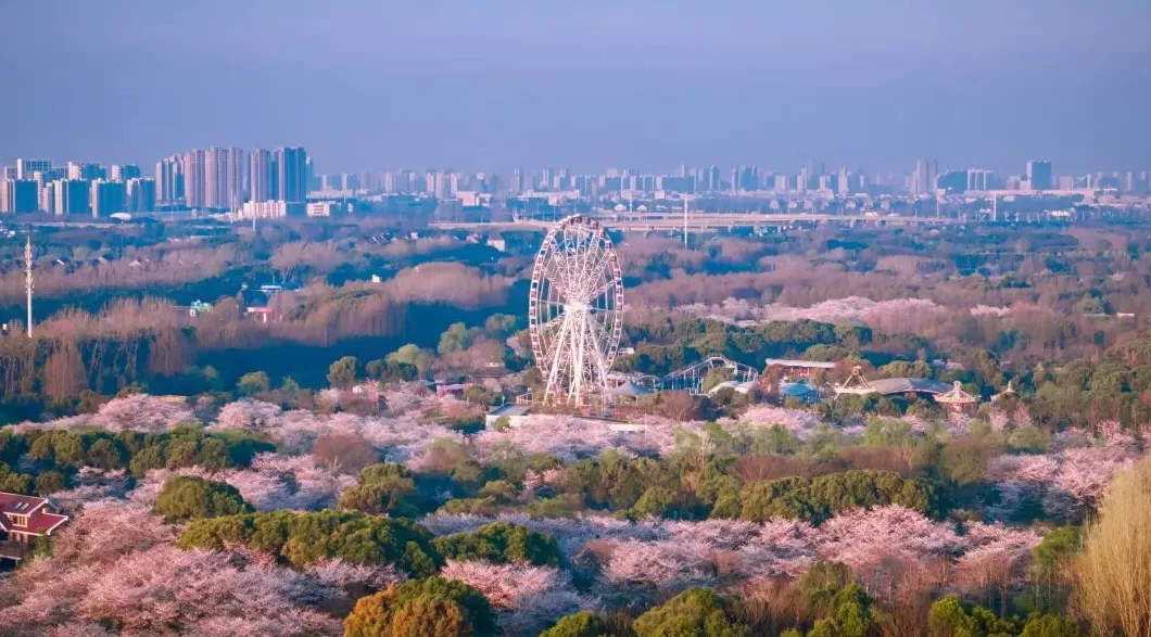 产业发展向高向新，上海宝山如何打造转型样本？-第3张图片-