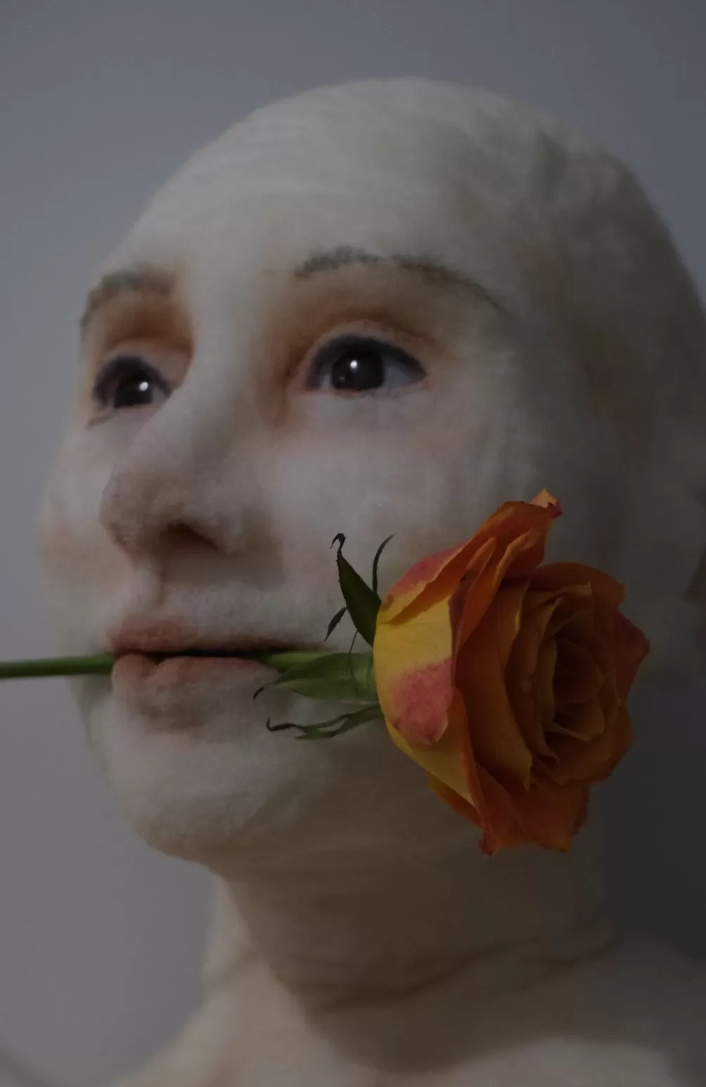 它像梦一样轻，有人的体温-第6张图片-