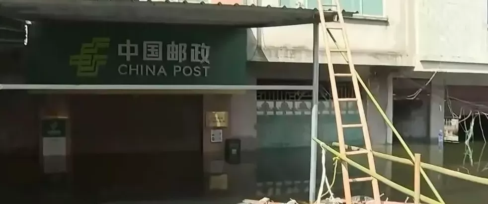 他们在洪水中，搭起去买菜的桥-第1张图片-