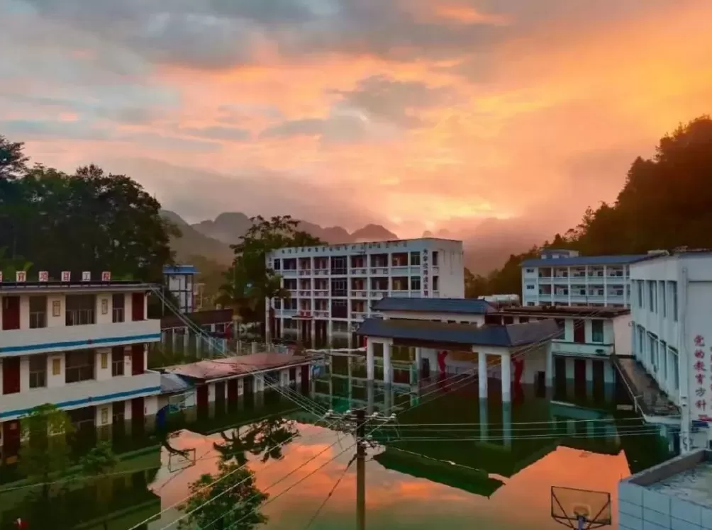 他们在洪水中，搭起去买菜的桥-第3张图片-