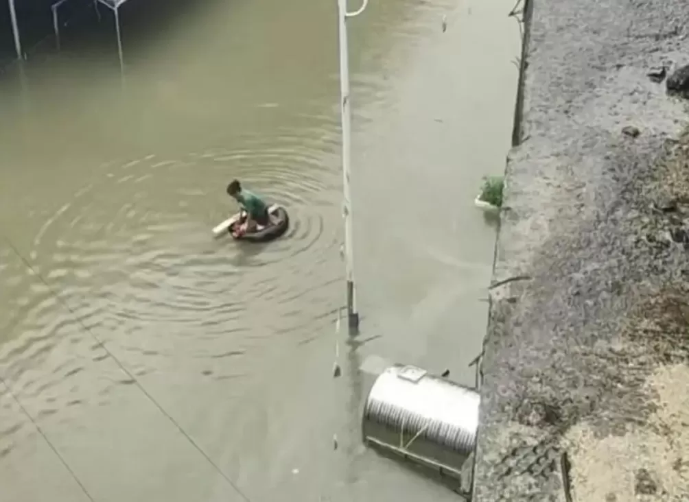 他们在洪水中，搭起去买菜的桥-第4张图片-