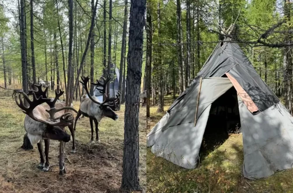 这届年轻人，为何负债旅行？-第5张图片-