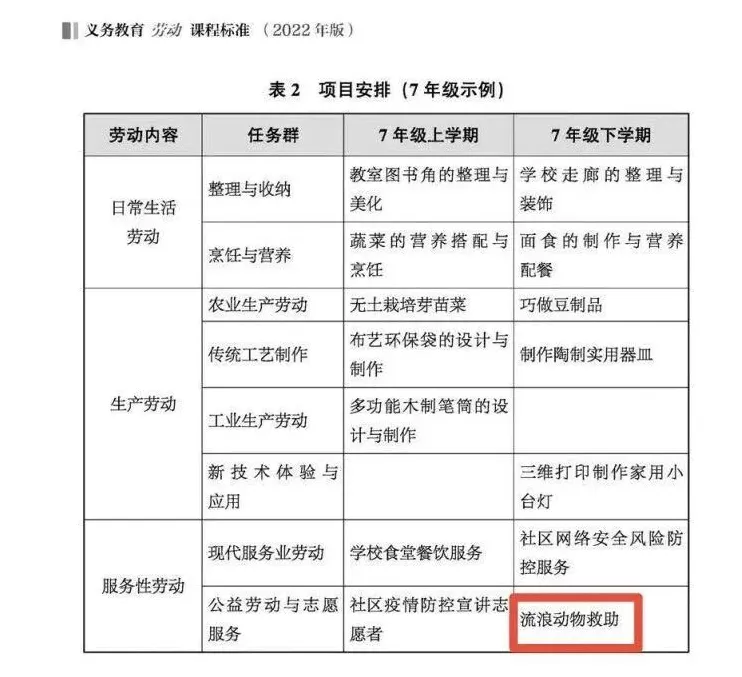 看到一只猫快被“弄死”，他为动物奔走八年-第4张图片-