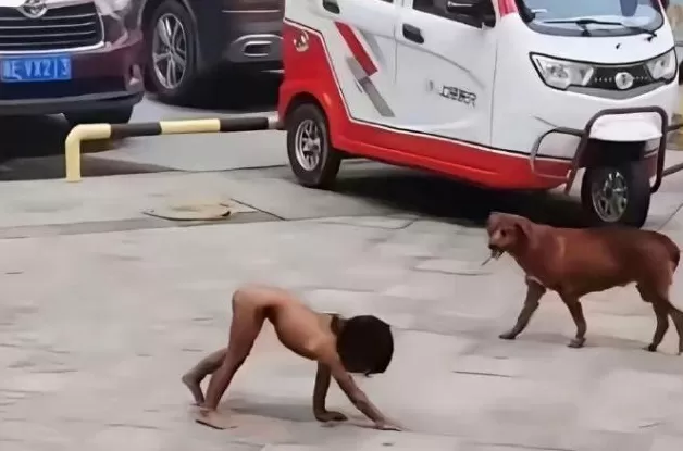 野人小孩父母，值得被骂-第1张图片-