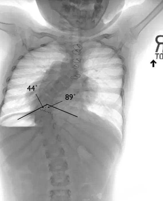 野人小孩父母，值得被骂-第7张图片-