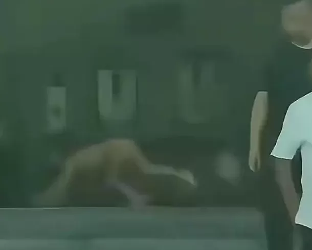 野人小孩父母，值得被骂-第5张图片-