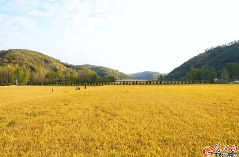 红星照耀中国｜359旅后人谈南泥湾精神：实干当头脚踏实地-第5张图片-