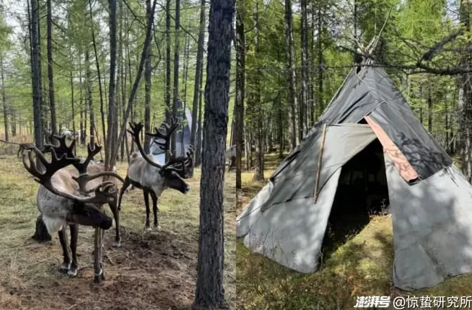 一线访谈丨这届年轻人，为何负债旅行？-第10张图片-