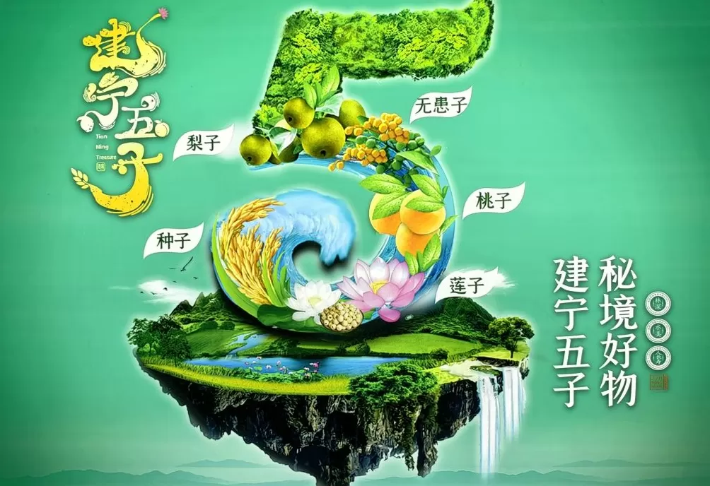 “建宁五子”好卖了，年轻人回来了：建宁用电商激活县域新动能-第1张图片-