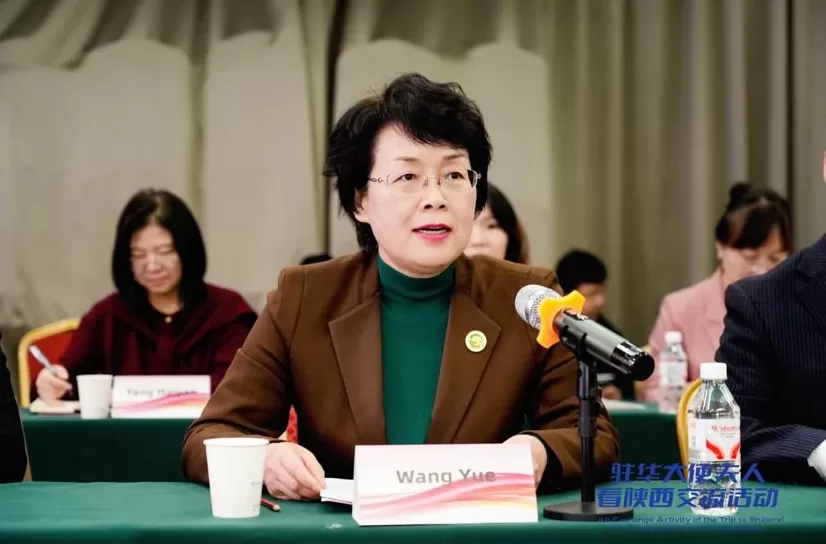 汇聚“她力量”释放“她潜力”奏响“她之声”共绘全球妇女合作新图景-国际在线-第2张图片-