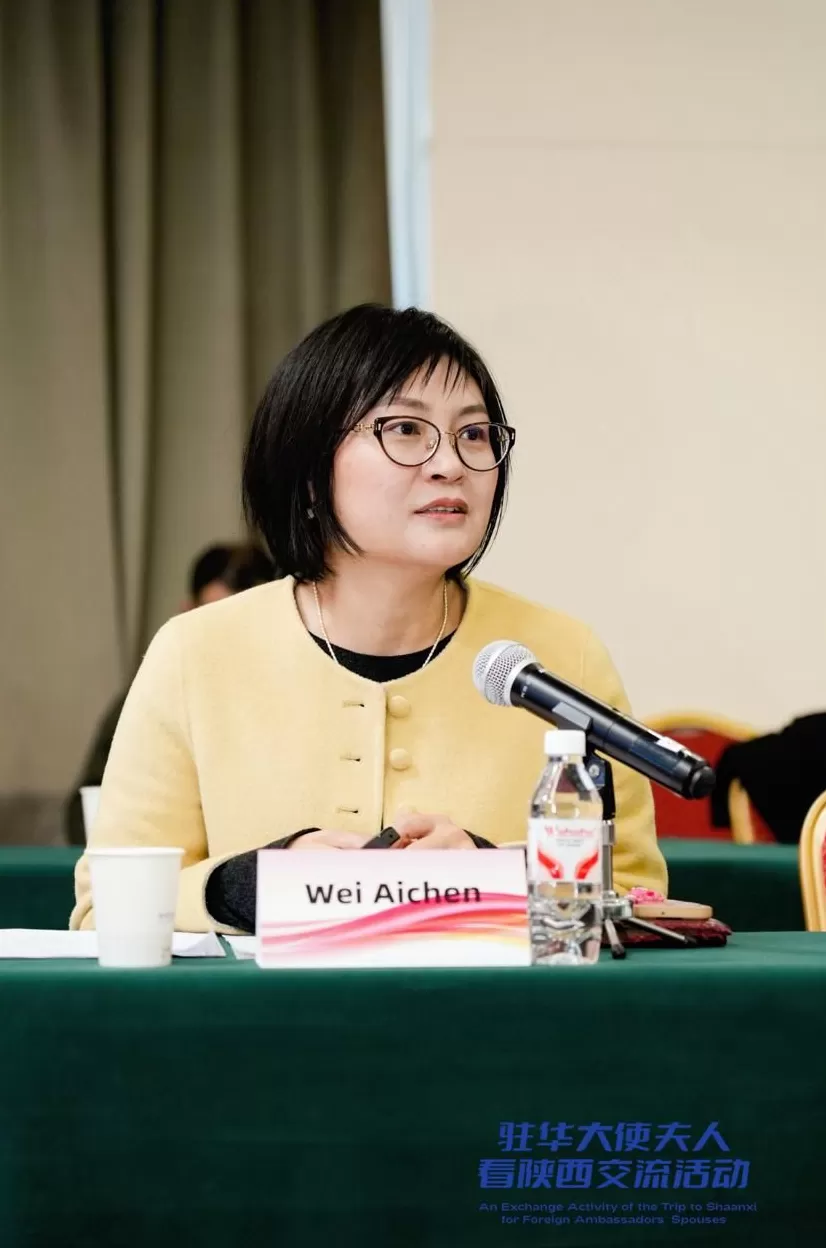 汇聚“她力量”释放“她潜力”奏响“她之声”共绘全球妇女合作新图景-国际在线-第6张图片-