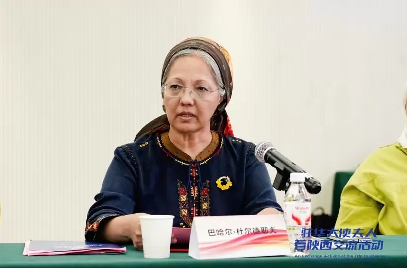 汇聚“她力量”释放“她潜力”奏响“她之声”共绘全球妇女合作新图景-国际在线-第9张图片-