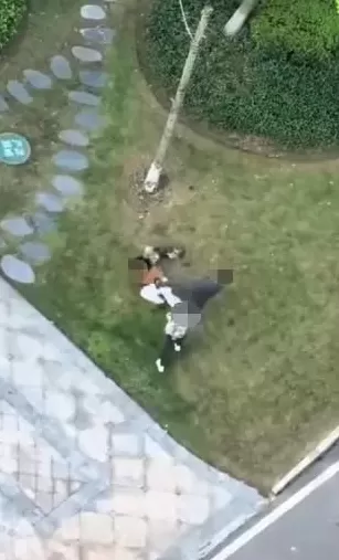 重庆一女子牵绳遛狗时被男子殴打，警方通报：已立案-第2张图片-