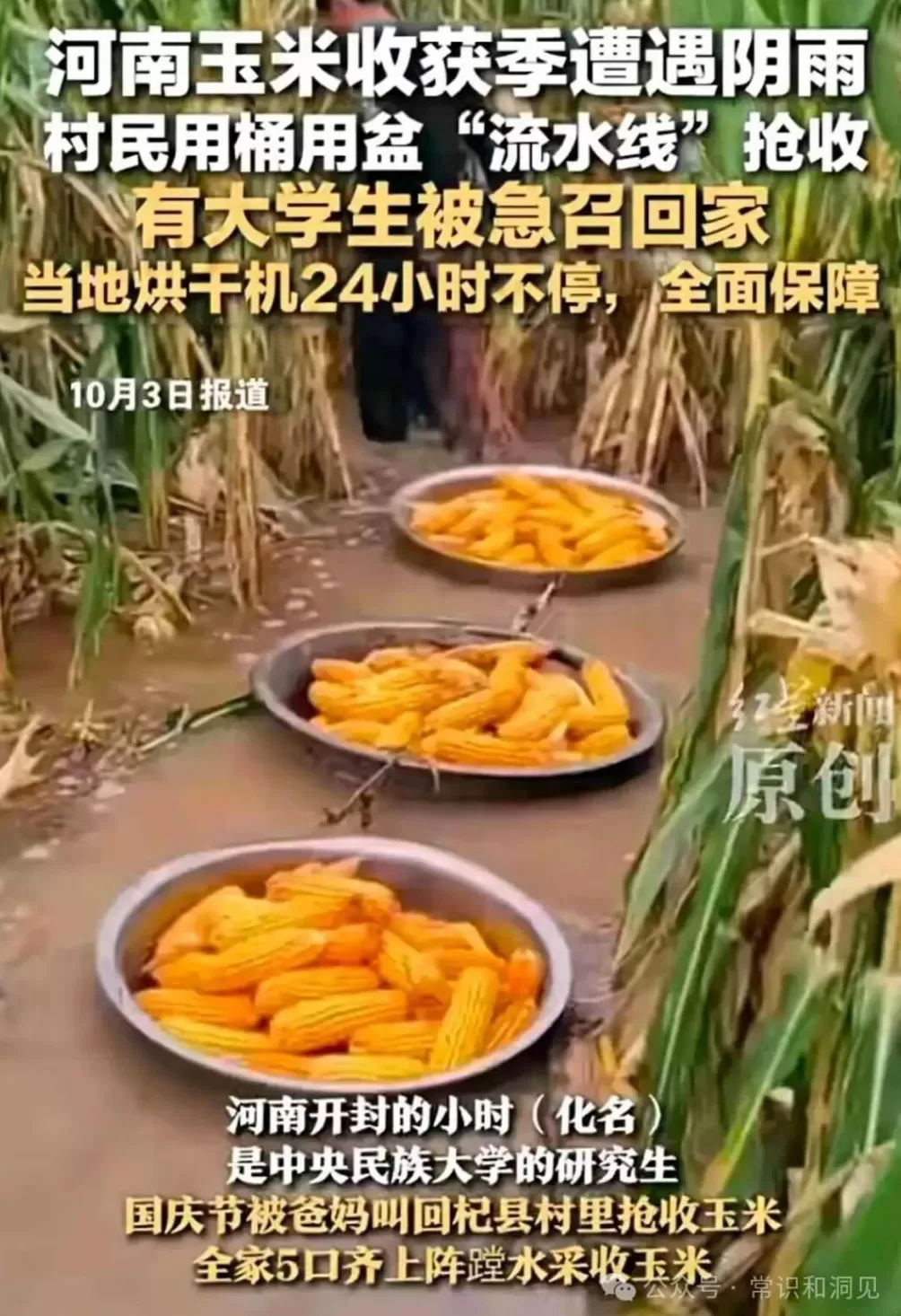 只悯仓粮不悯农-第5张图片- 只悯仓粮不悯农-第5张图片-