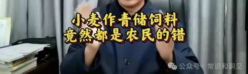 只悯仓粮不悯农-第4张图片- 只悯仓粮不悯农-第4张图片-