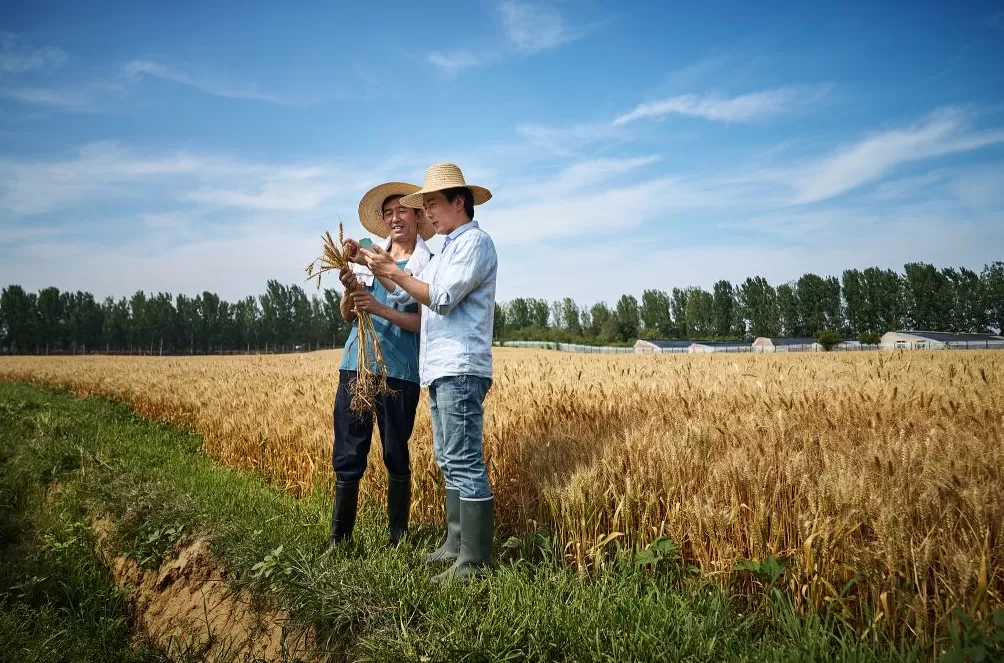 何以为家：青年返乡与家的重构-第1张图片-