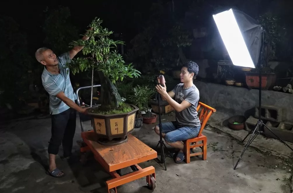 何以为家：青年返乡与家的重构-第3张图片-