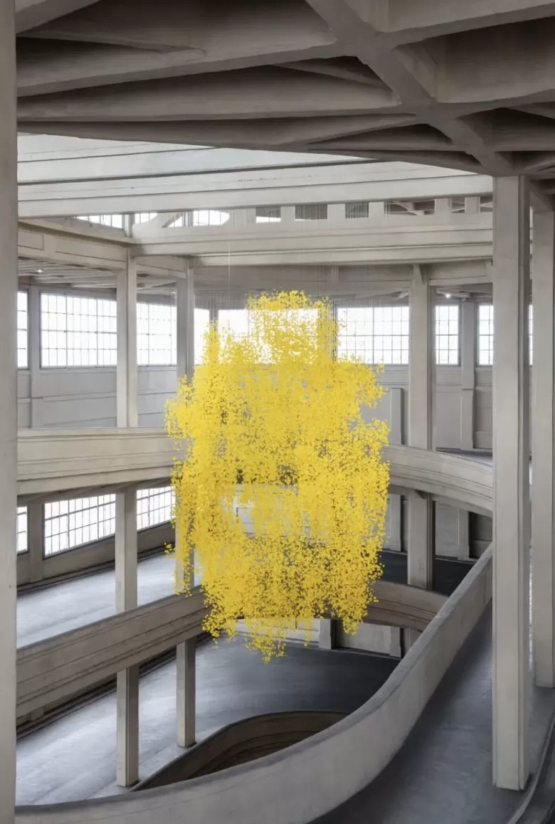 上海双年展公布参展名单：67位/组艺术家，逾250件作品-第2张图片-