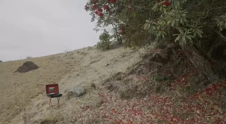 上海双年展公布参展名单：67位/组艺术家，逾250件作品-第5张图片-