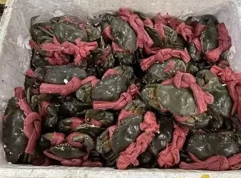 第1批狂吃螃蟹的美女，住院了-第2张图片-