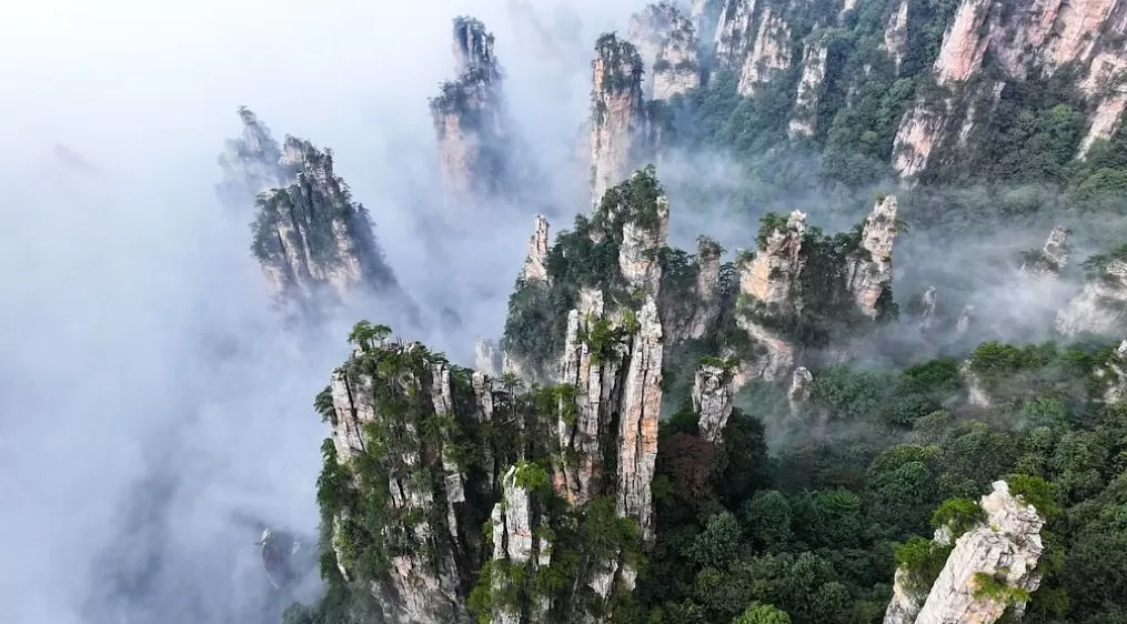 张家界：第三季度盈利约1087.49万元，同比扭亏为盈-第1张图片-