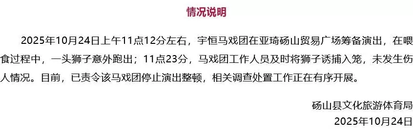 狮子在道路绿化带狂奔？安徽砀山县通报：从马戏团意外跑出，已诱捕入笼-第1张图片-