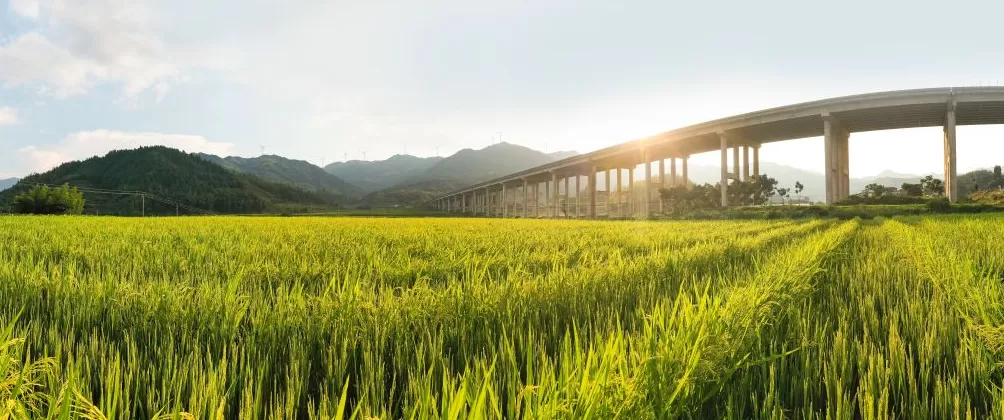 读懂建宁｜一座山区小城的积极尝试，找到数字化发展关键-第1张图片-